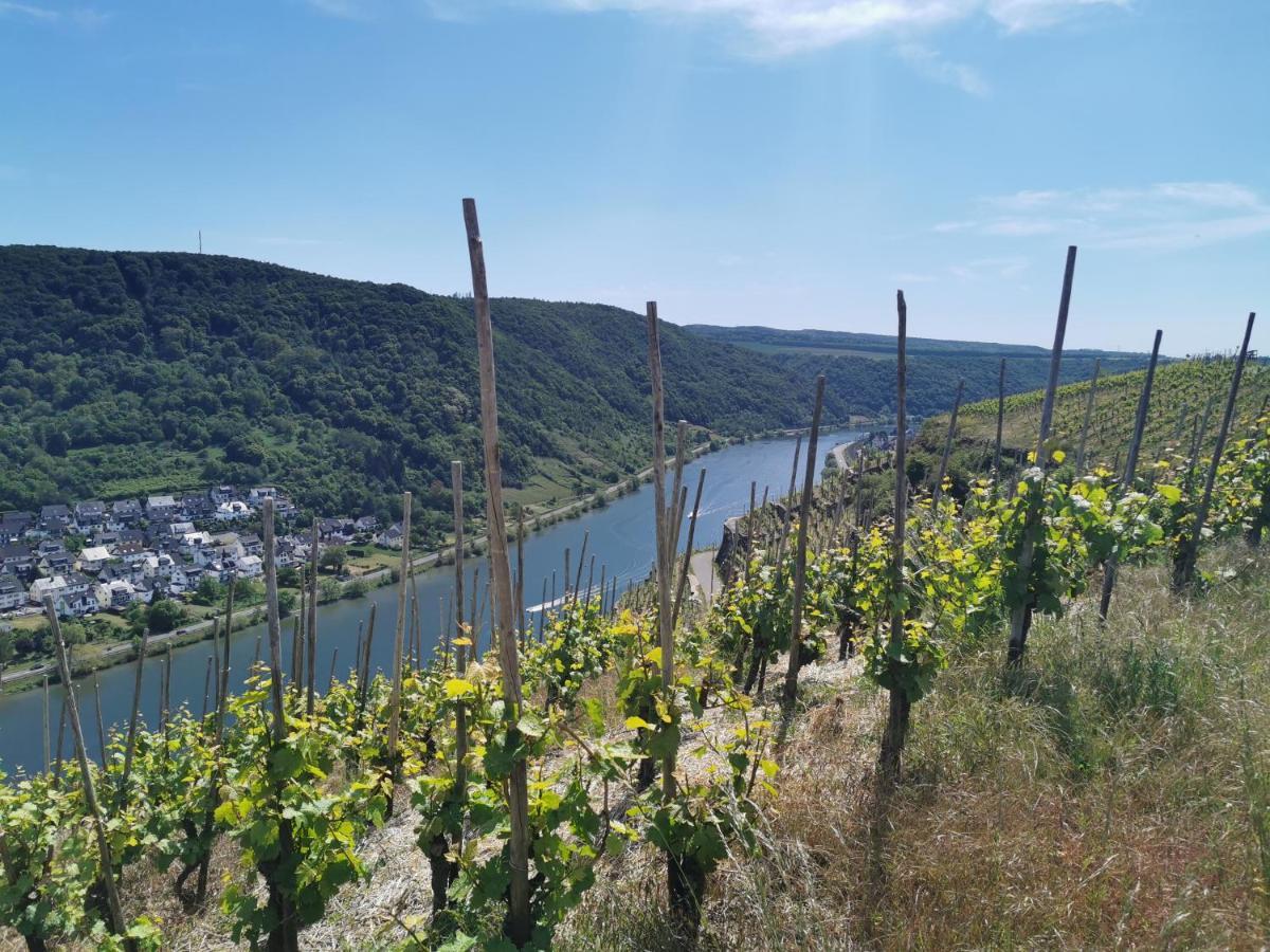Auszeit Rhein-Mosel Apartment Waldesch Bagian luar foto