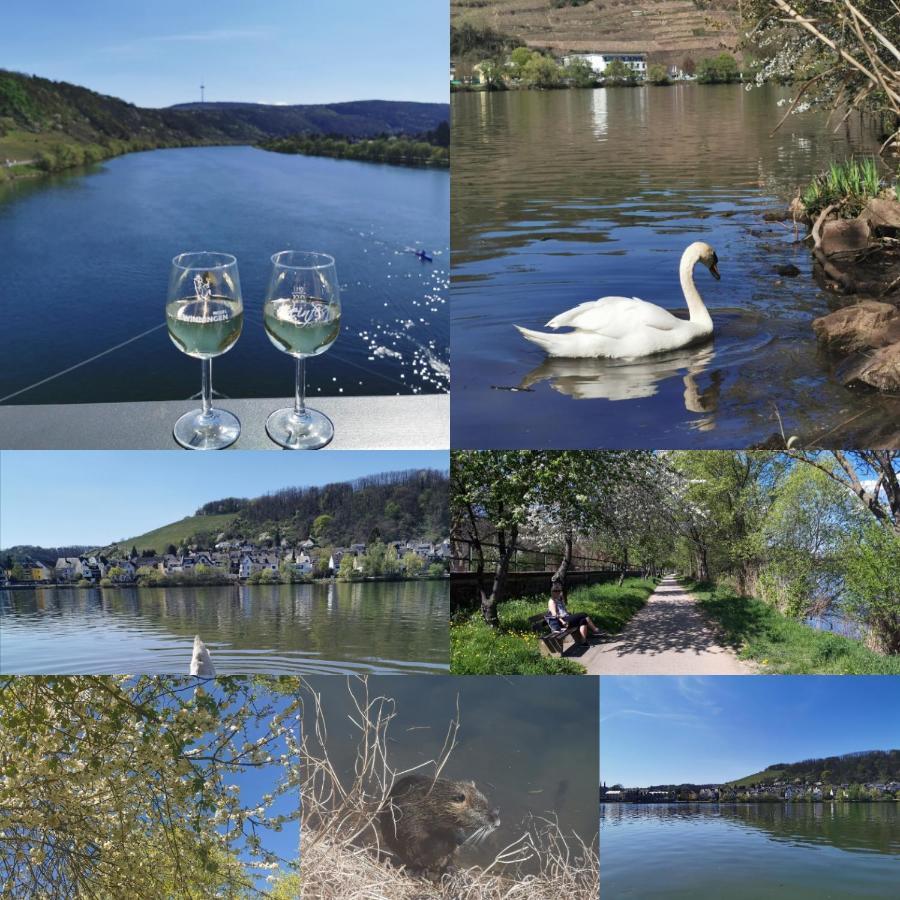 Auszeit Rhein-Mosel Apartment Waldesch Bagian luar foto